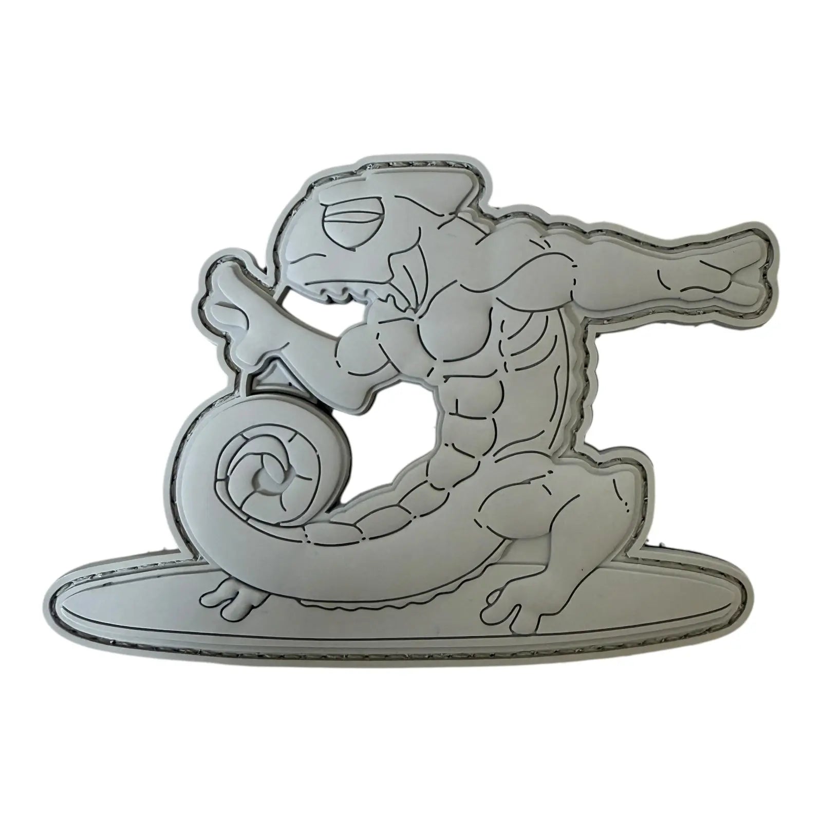 Chameleon #139 Surfer PATCHLAB