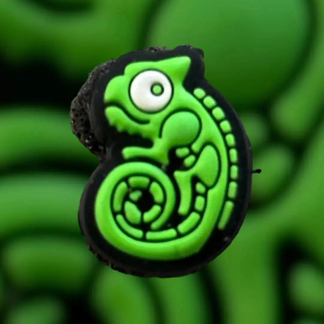 Mini RE Chameleon patchlab