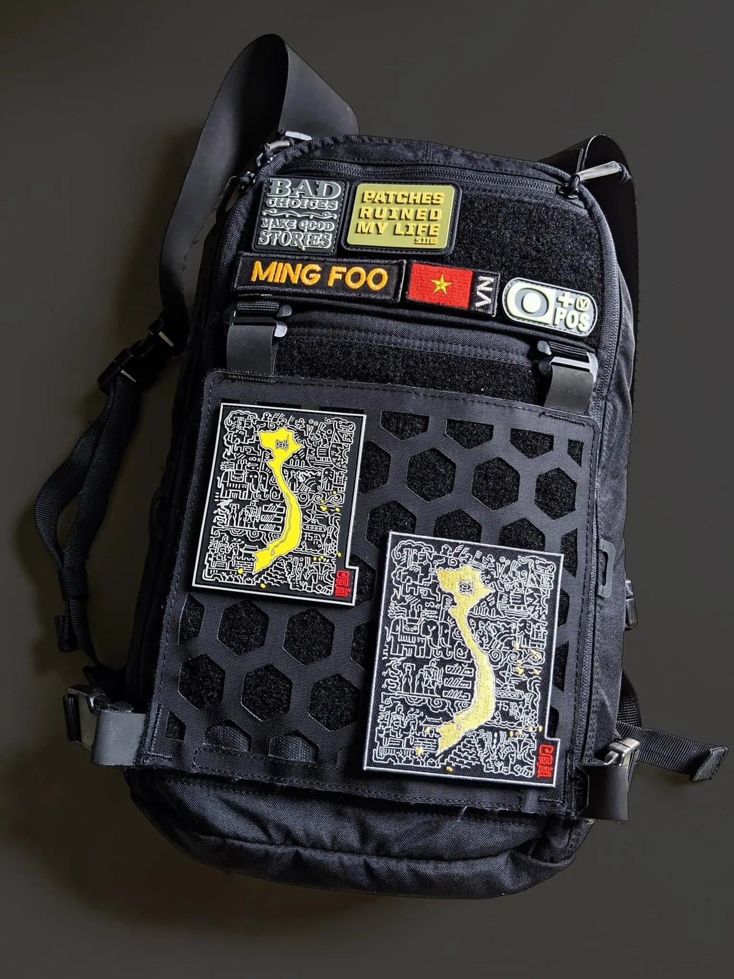 SSEN Vietnam PATCHLAB