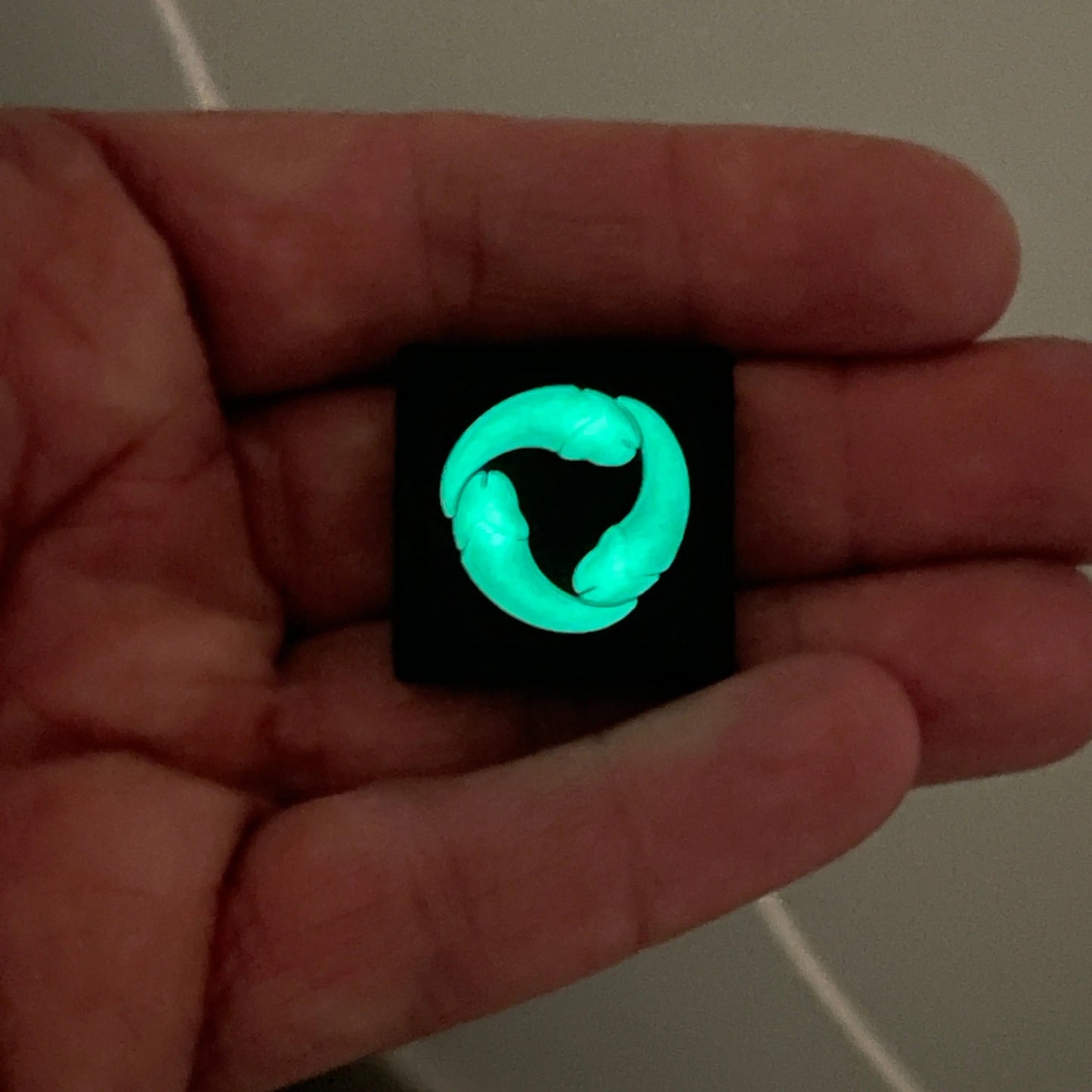 Tokio Dic Koi RE PATCHLAB.DE