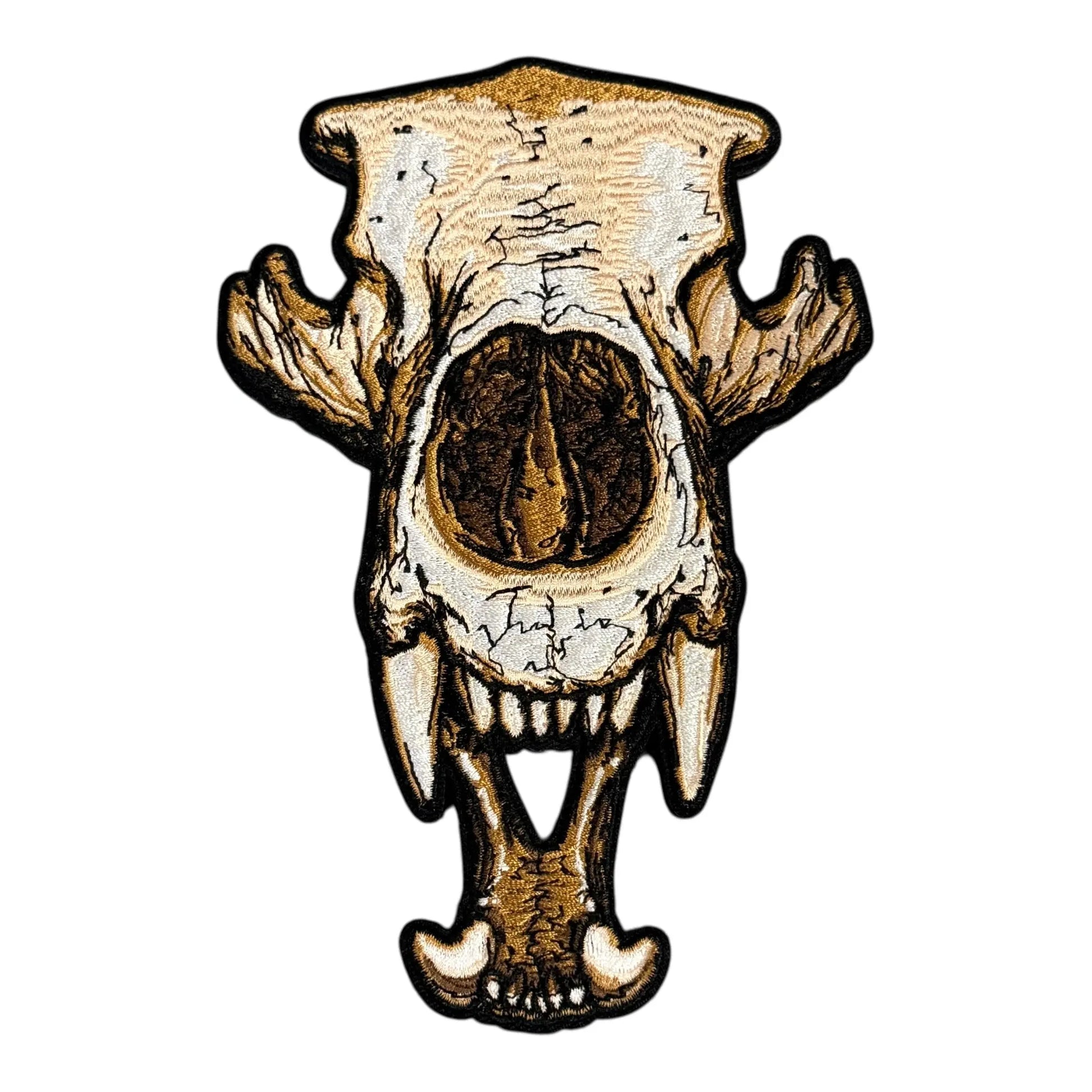 Anatomical Display Skulls PATCHLAB