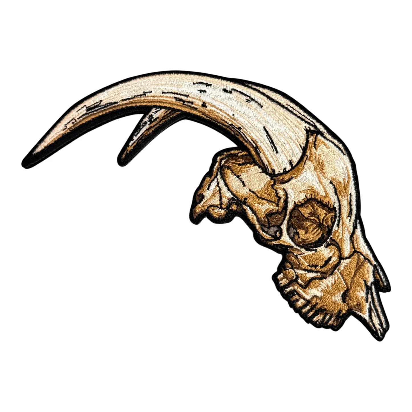 Anatomical Display Skulls PATCHLAB