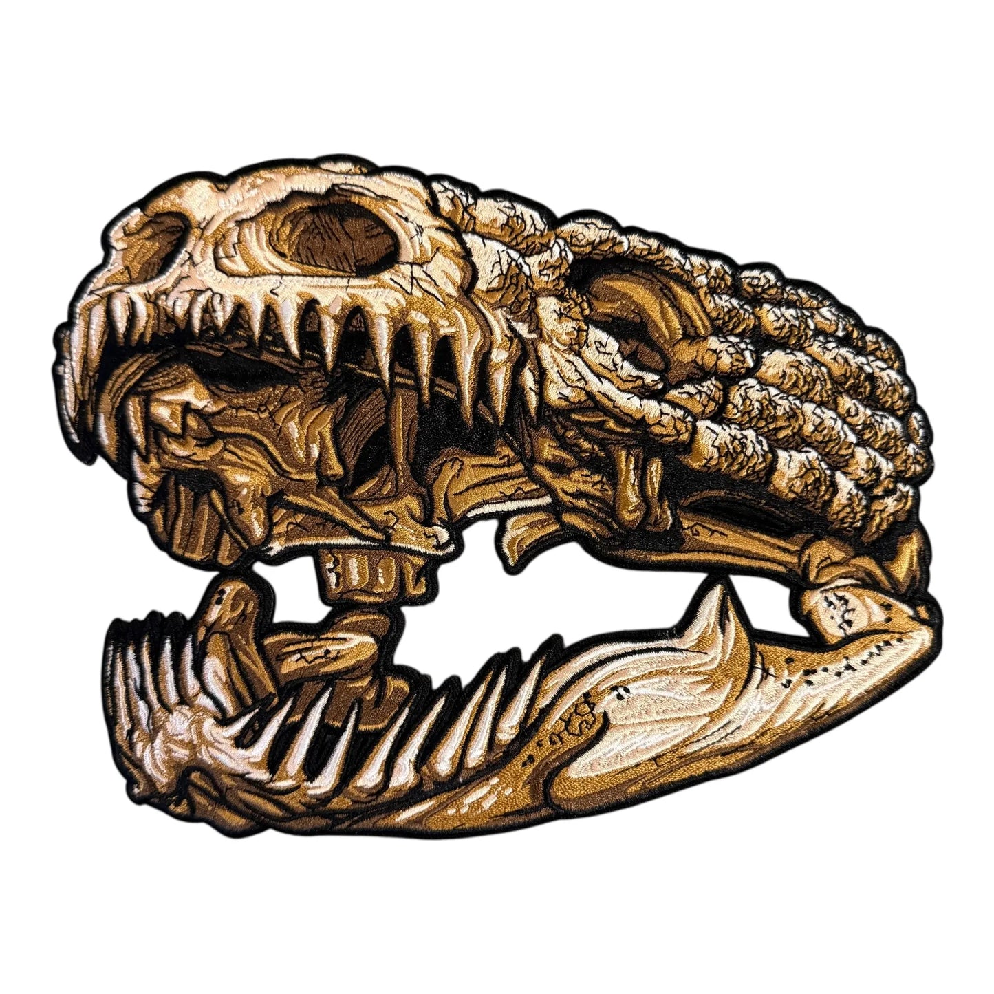 Anatomical Display Skulls PATCHLAB