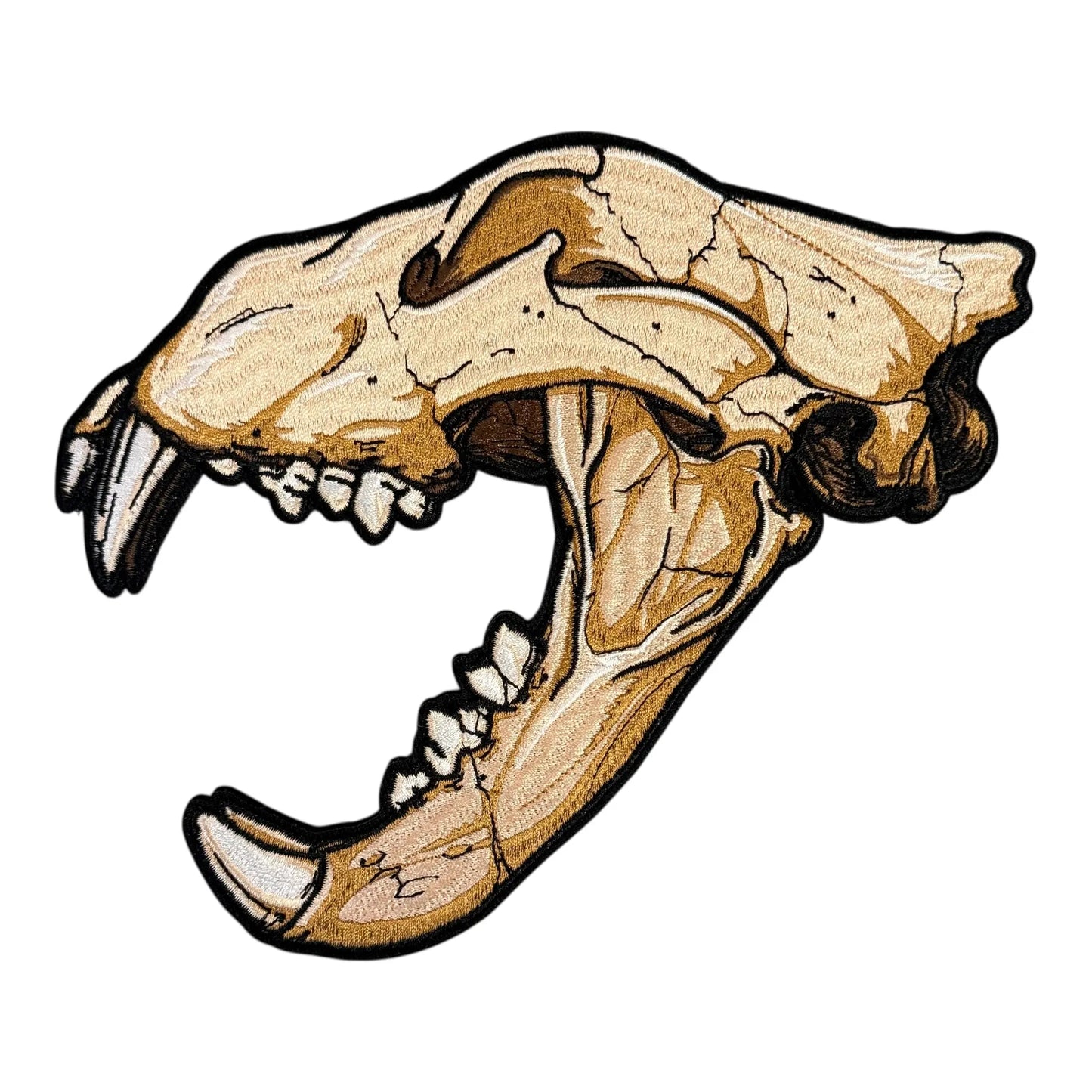 Anatomical Display Skulls PATCHLAB