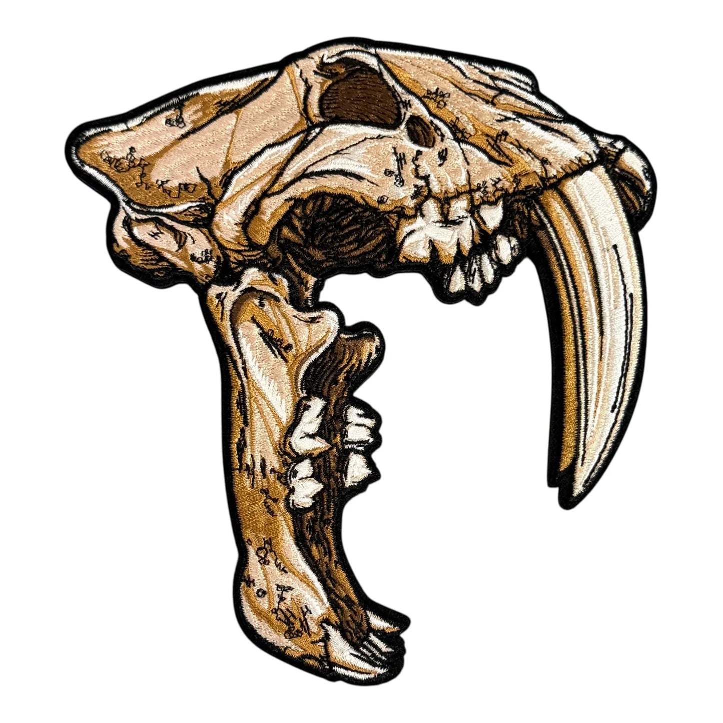 Anatomical Display Skulls PATCHLAB