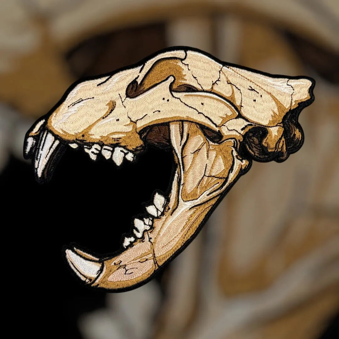 Anatomical Display Skulls PATCHLAB