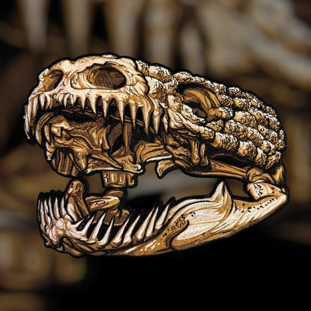 Anatomical Display Skulls PATCHLAB