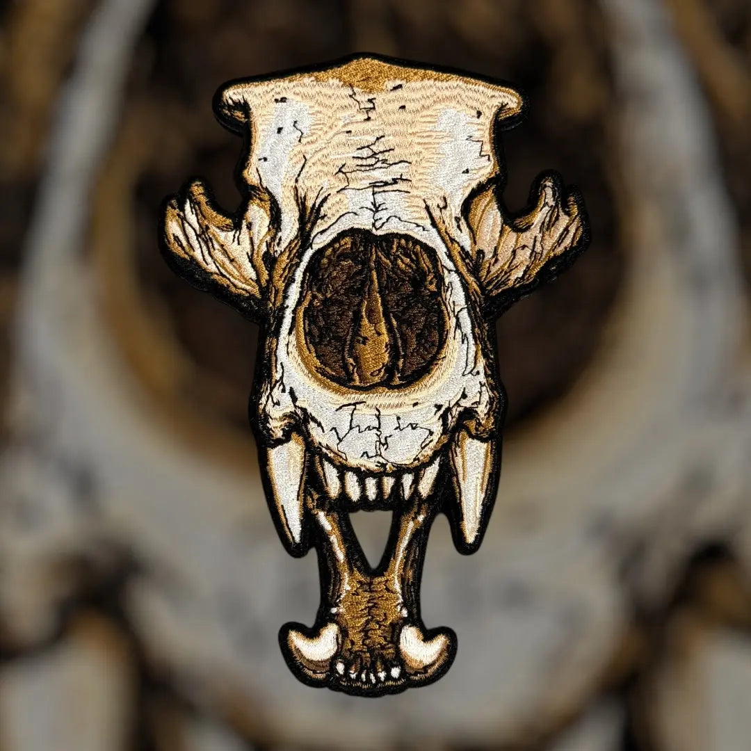 Anatomical Display Skulls PATCHLAB