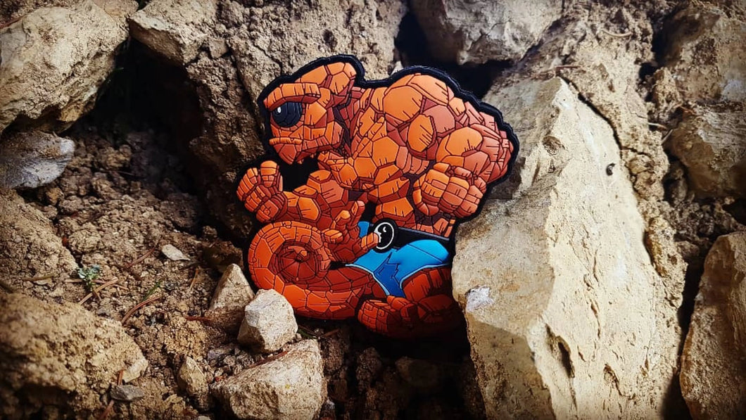 Chameleon #80 PATCHLAB.DE